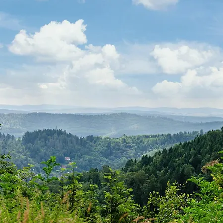 Harz Und Herzlich Σπίτι διακοπών *