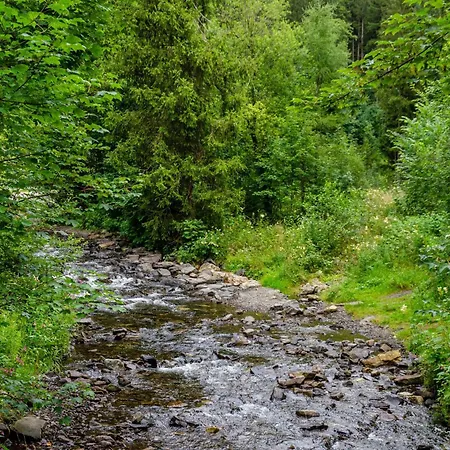 Harz Und Herzlich باد غروند